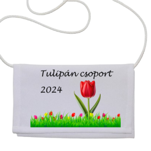 tarisznya2